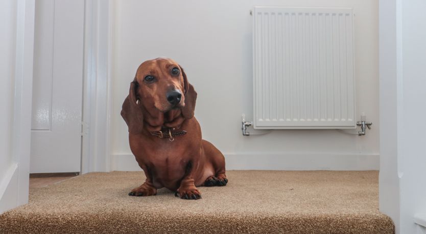 Photo of Cotswold Outlet Coach House