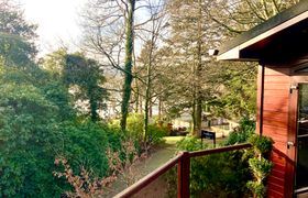 Photo of tree-house-partial-lake-views