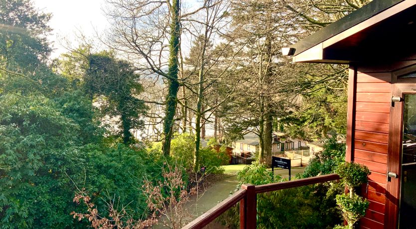 Photo of Tree House, Partial Lake Views