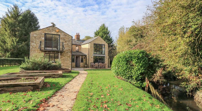 Photo of Kingfishers