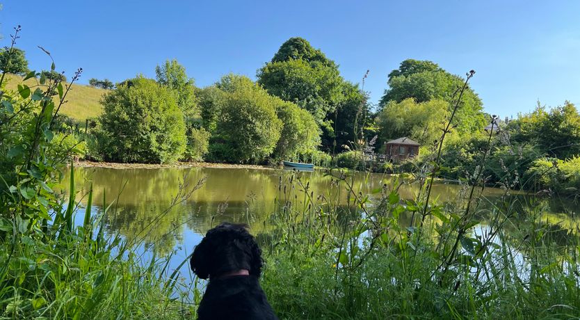 Photo of Owl Cottage