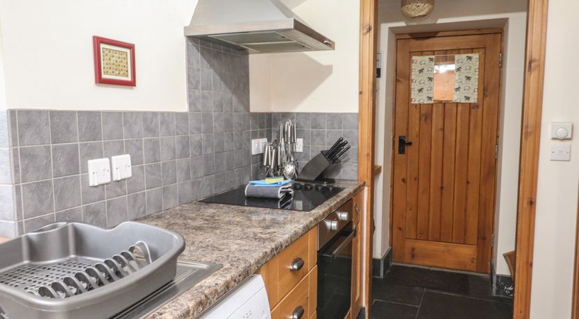 Photo of Ty  Llewelyn