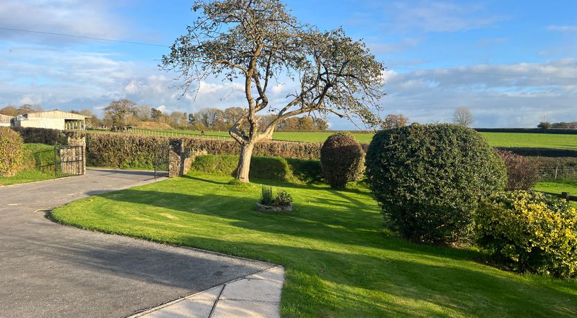 Photo of War Horse Valley Orchard View