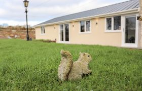 Photo of ynys-uchaf