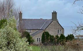 Photo of Plas Newydd Flower Farm