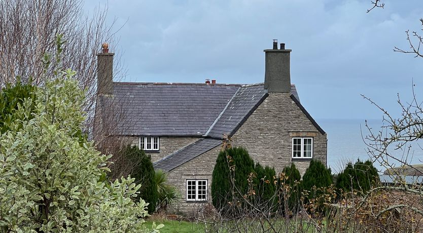 Photo of Plas Newydd Flower Farm