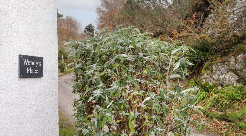 Photo of Wendy's Place