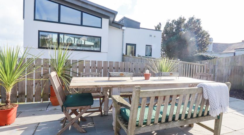 Photo of Oyster Catcher