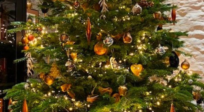 Photo of 1 Bed in Brecon