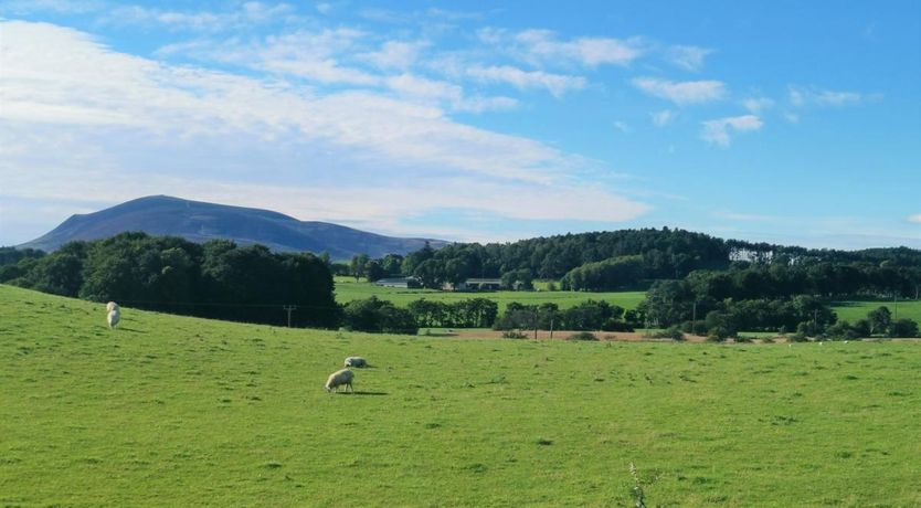 Photo of 1 Bed in Biggar