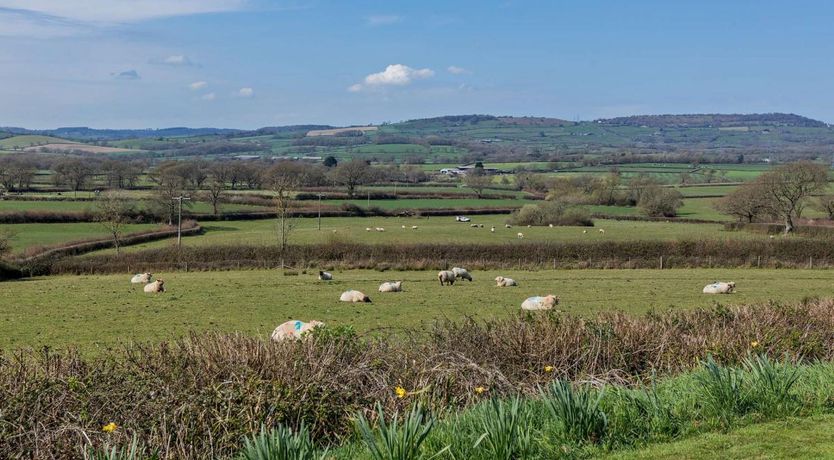 Photo of 1 Bed in Whitchurch Canonicorum