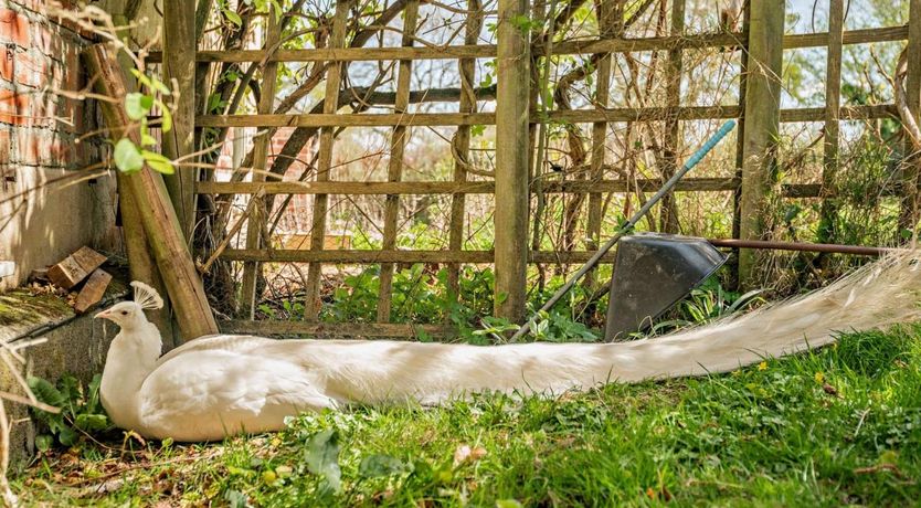 Photo of 1 Bed in Fifehead Neville