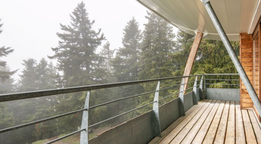 Photo of V du Bachat Arolles A