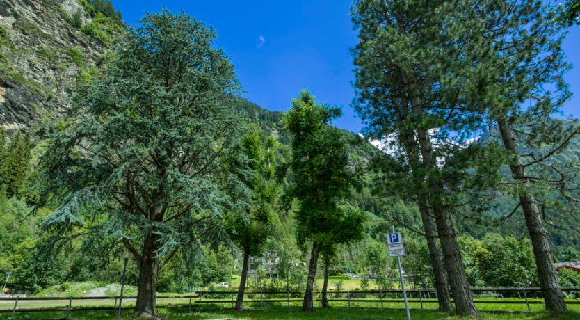 Photo of Leonardi Terrace