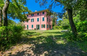 Photo of pino-apartment
