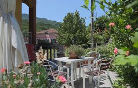 Photo of gialla