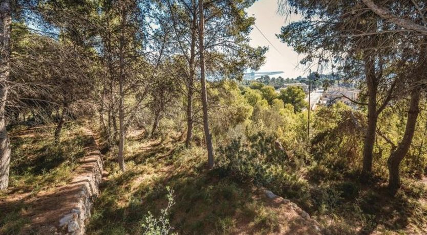 Photo of Torre Morralla