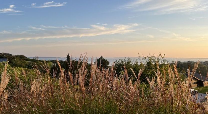 Photo of "Harda" - 800m from the sea