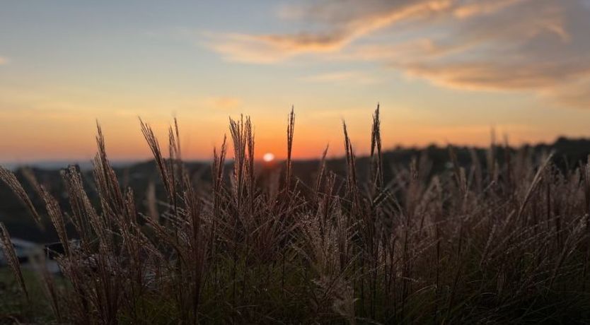 Photo of "Harda" - 800m from the sea