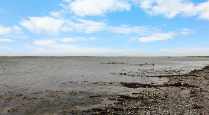 Photo of "Kari" - 50m from the sea