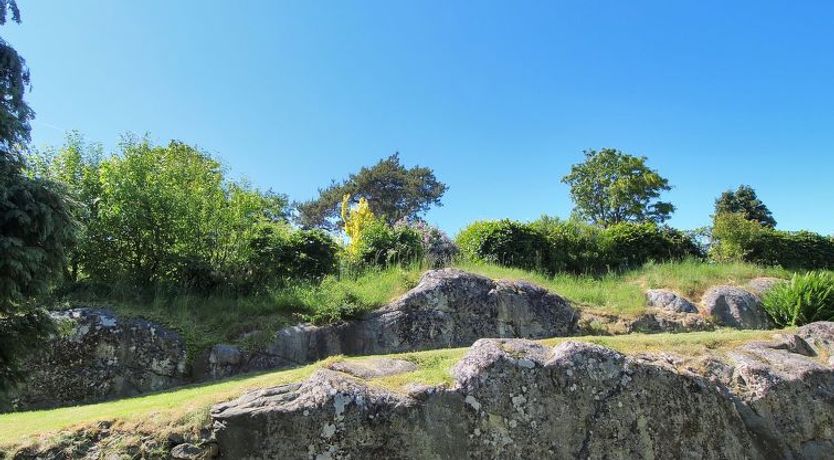 Photo of "Jolanda" - 800m from the sea