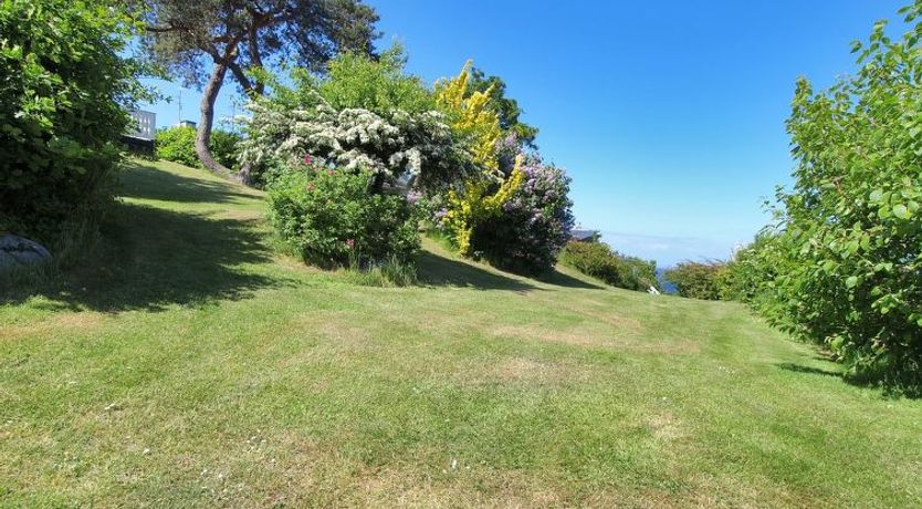 Photo of "Jolanda" - 800m from the sea