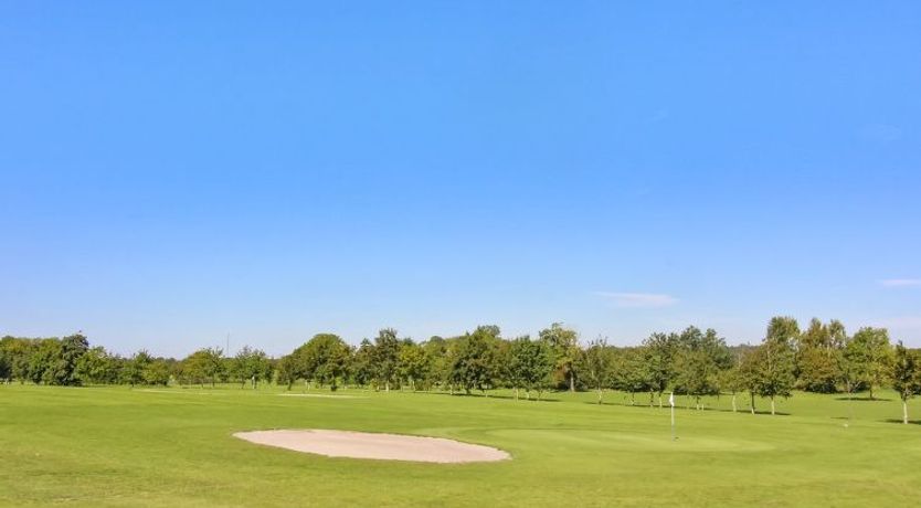 Photo of "Pisana" - 300m from the sea