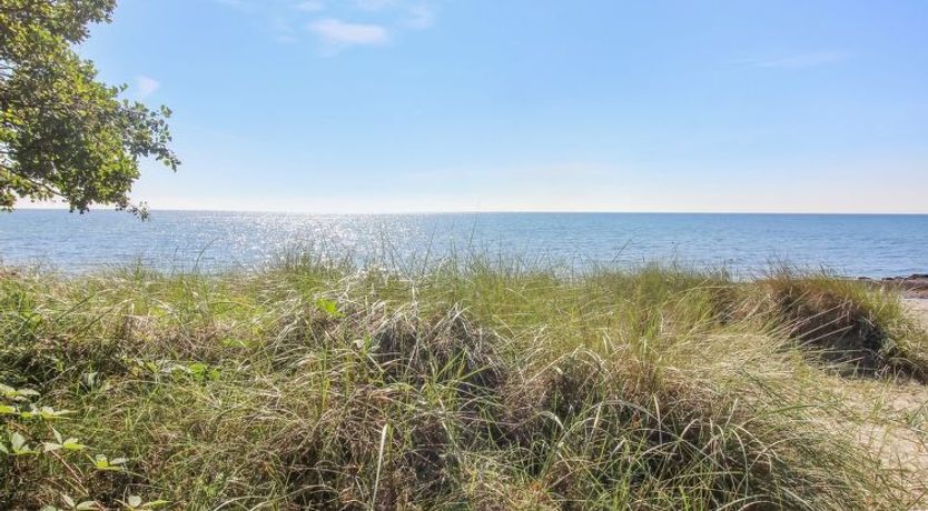 Photo of "Pisana" - 300m from the sea