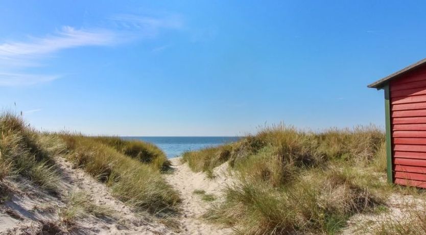 Photo of "Pisana" - 300m from the sea