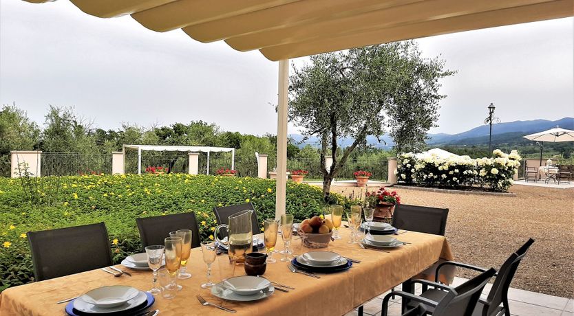 Photo of Rose of Chianti