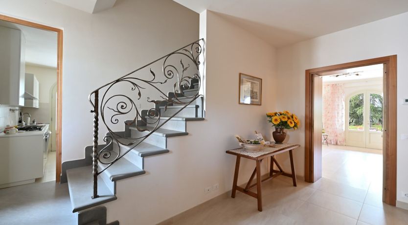 Photo of Rose of Chianti