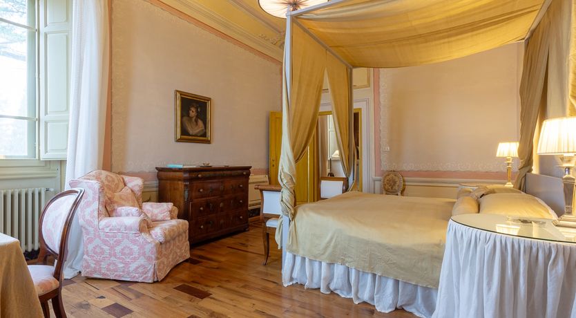 Photo of Vines of Gold