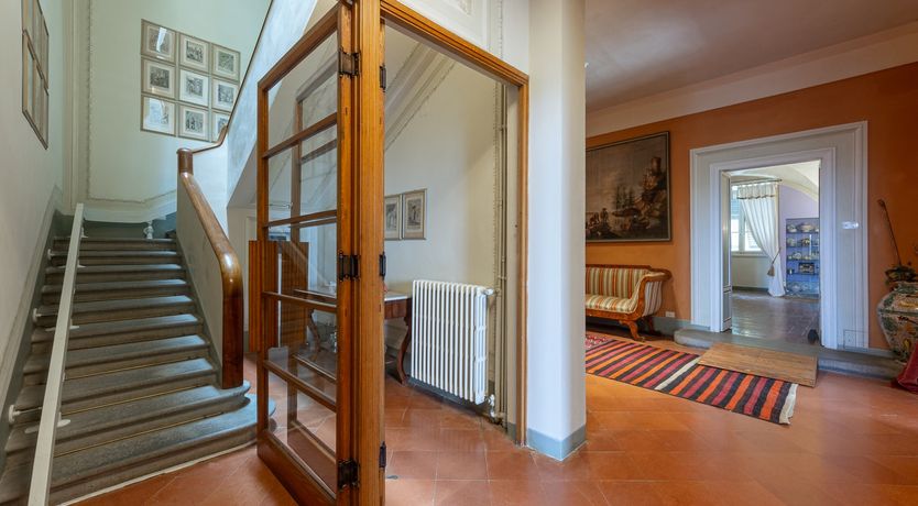 Photo of Vines of Gold