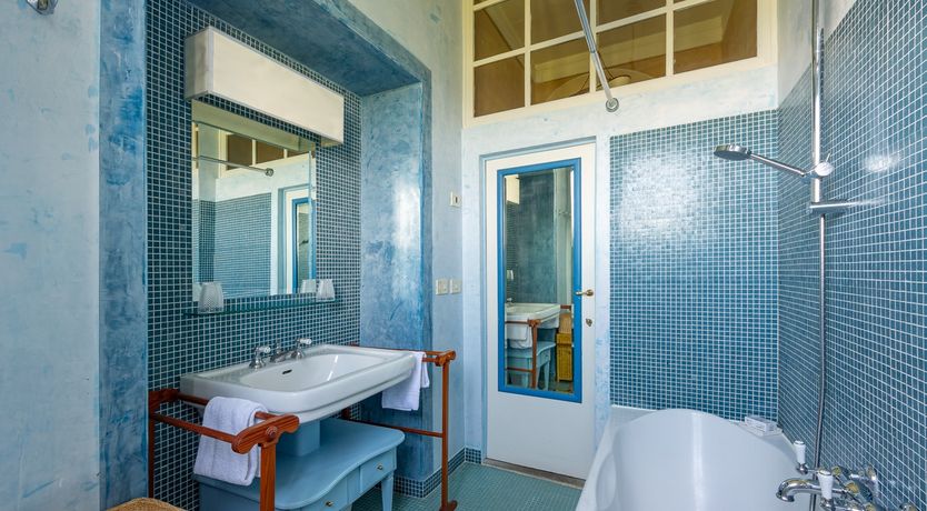 Photo of Vines of Gold