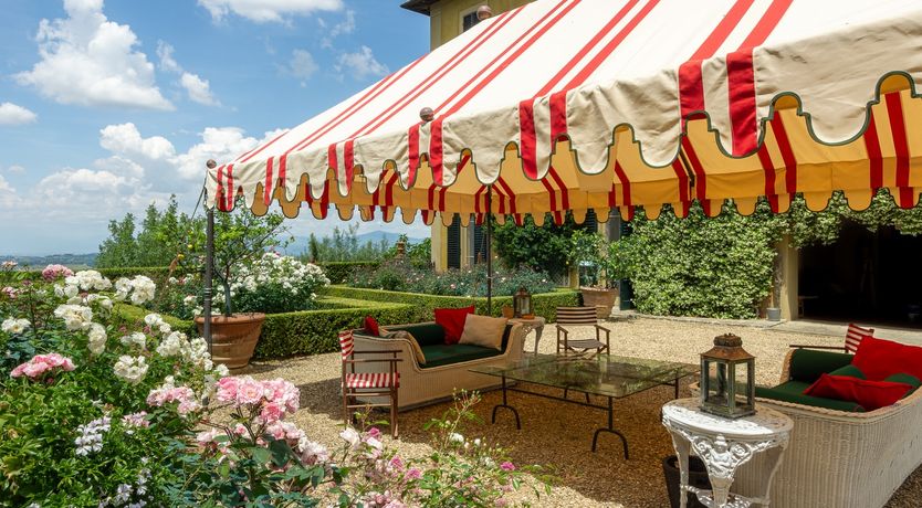 Photo of Vines of Gold