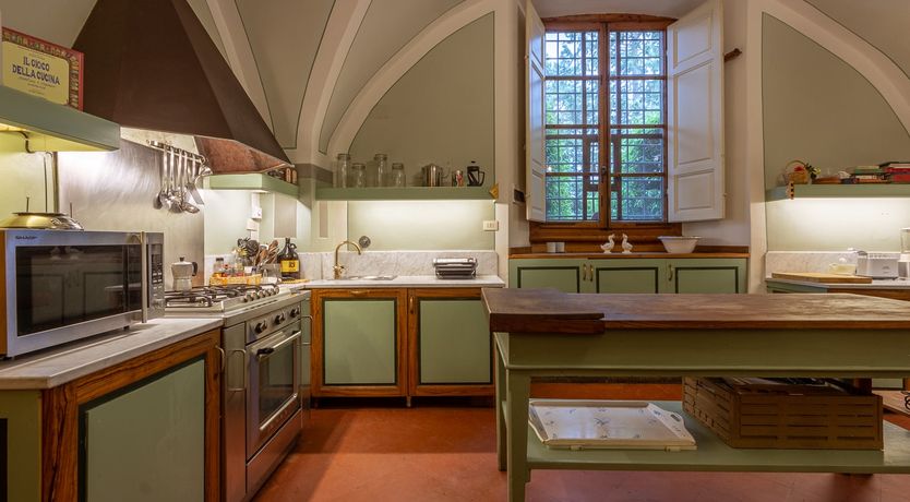 Photo of Vines of Gold