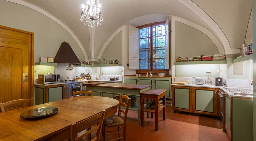 Photo of Vines of Gold