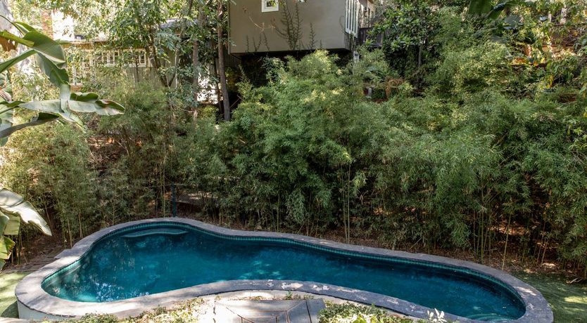 Photo of Tropical Treehouse