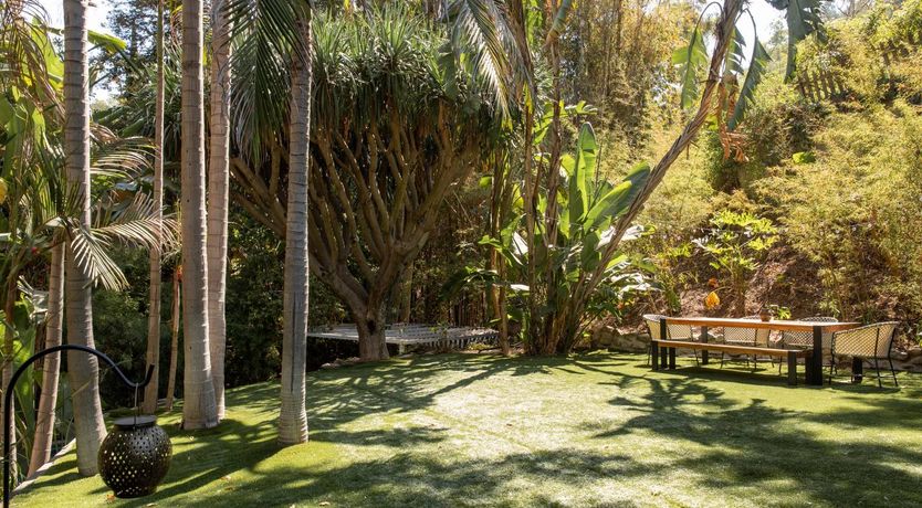 Photo of Tropical Treehouse