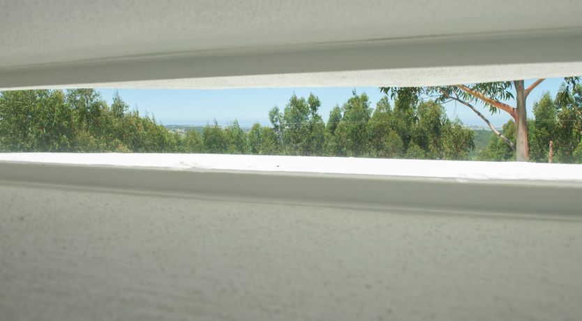 Photo of The Honey Jar