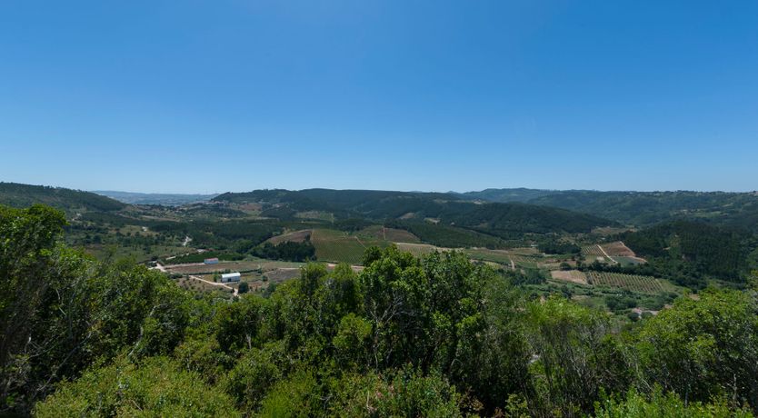 Photo of The Honey Jar