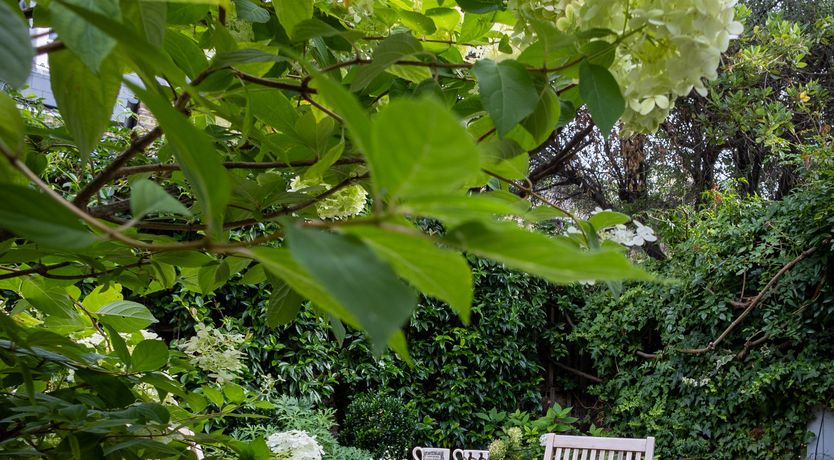 Photo of The Battersea Beat