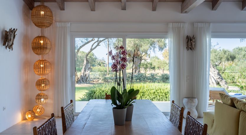 Photo of Golden Driftwood