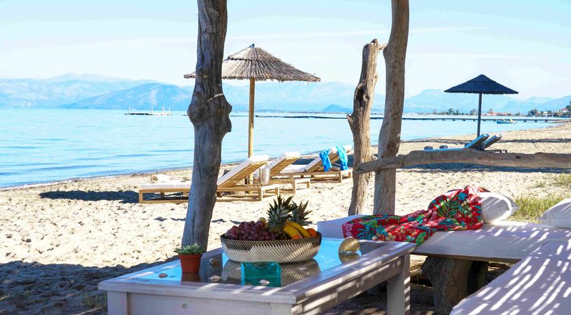 Photo of Golden Driftwood