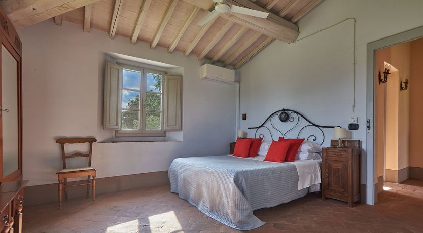 Photo of Between the Vines