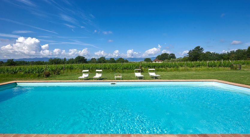 Photo of Between the Vines