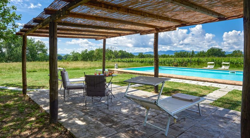 Photo of Between the Vines