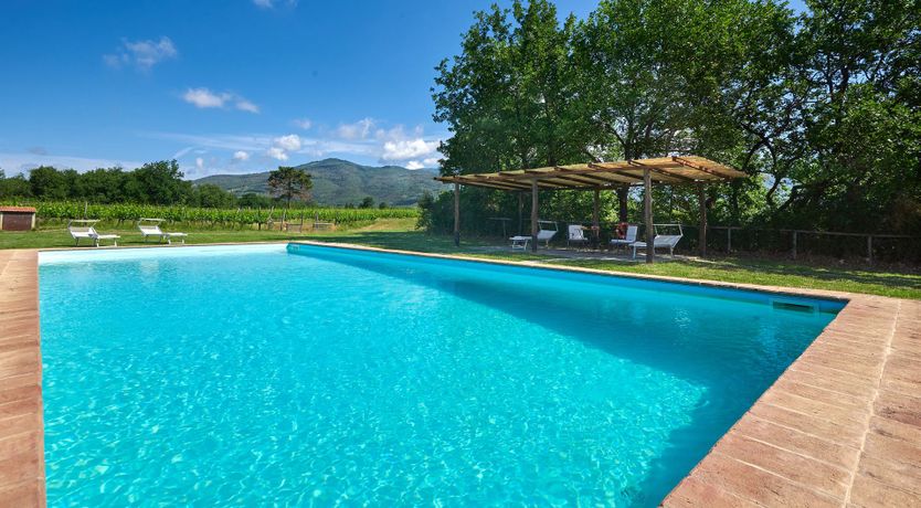 Photo of Between the Vines