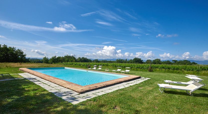 Photo of Between the Vines