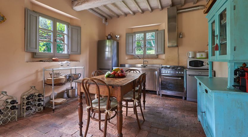 Photo of Between the Vines